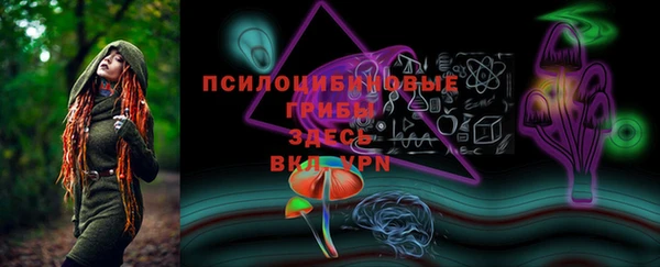 стаф Карпинск