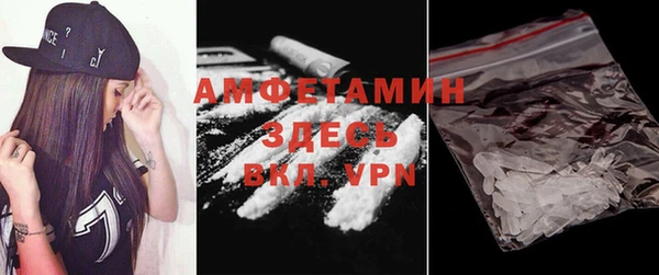 стаф Карпинск