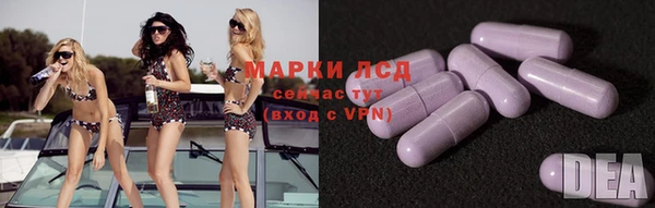 ПСИЛОЦИБИНОВЫЕ ГРИБЫ Касимов