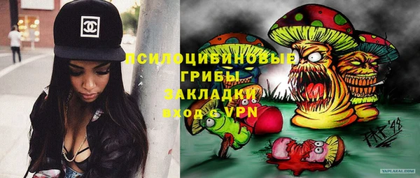 ПСИЛОЦИБИНОВЫЕ ГРИБЫ Касимов