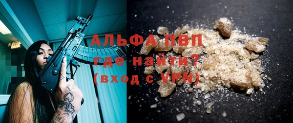 стаф Карпинск
