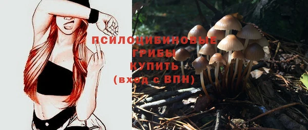 ПСИЛОЦИБИНОВЫЕ ГРИБЫ Касимов