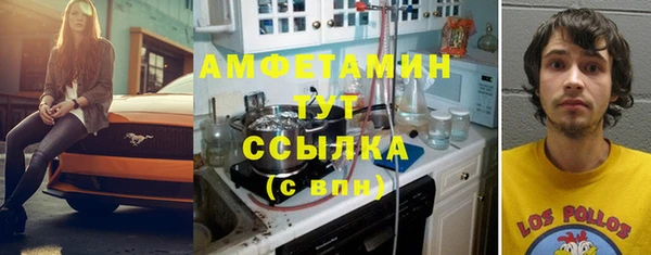 стаф Карпинск