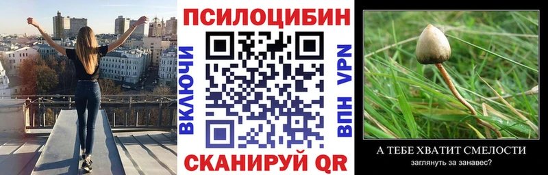 Купить закладки  Дагестанские Огни  Галлюциногенные грибы MAGIC MUSHROOMS 